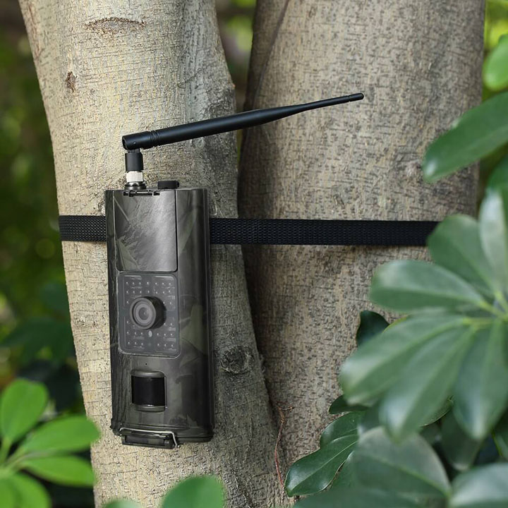 arbre camera chasse gsm infrarouge