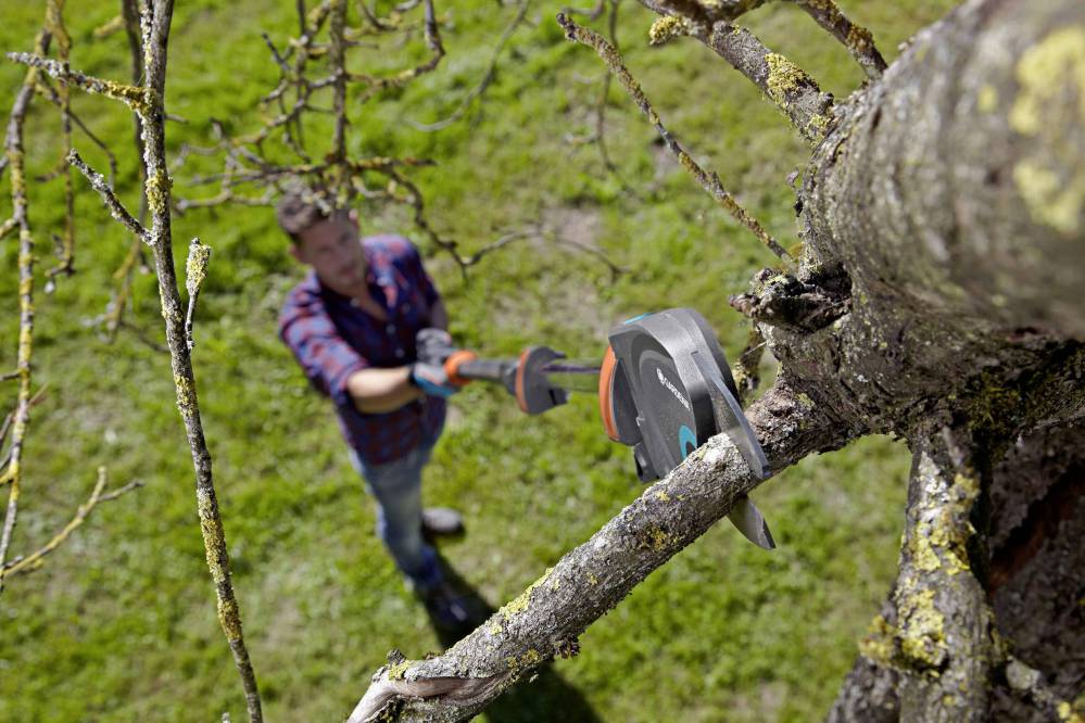 Top 15 Meilleur Coupe Branche Télescopique Lidl Et Autres Pour Votre Jardin 27 Coupe Branche Télescopique Lidl