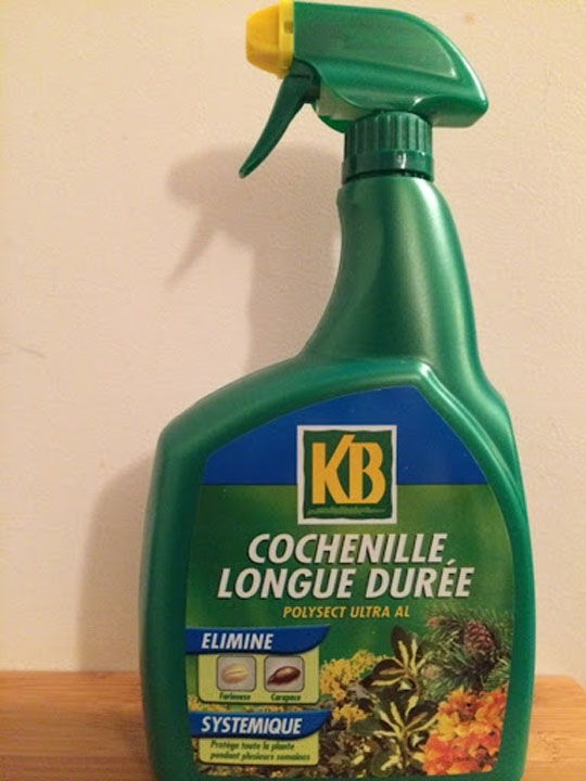 Insecticide Cochenille